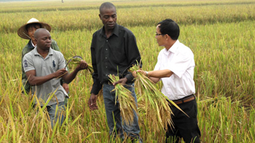 Nên đẩy mạnh hợp tác nông nghiệp tư nhân với châu Phi và Angola